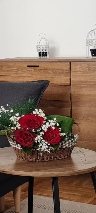 Vrnjačka Banja Apartman Tim Lux 2 מראה חיצוני תמונה