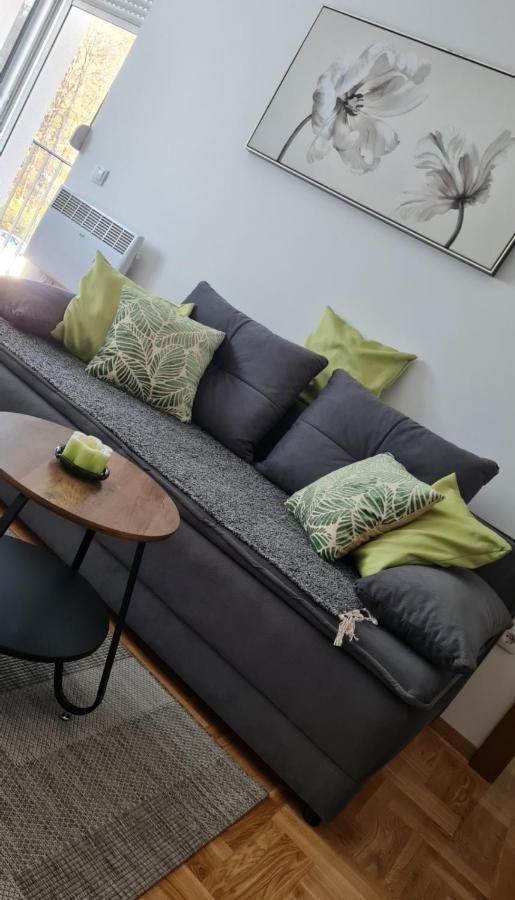 Vrnjačka Banja Apartman Tim Lux 2 מראה חיצוני תמונה